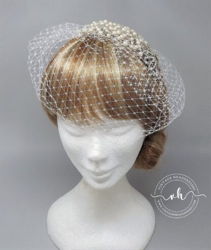 Birdcage Veil Headpiece