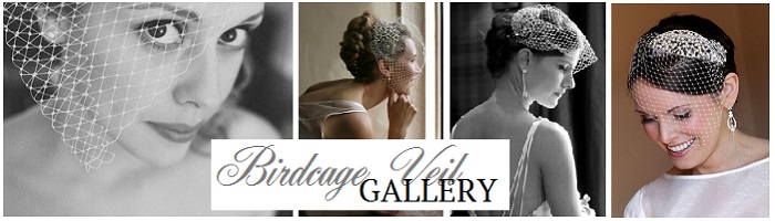 Birdcage Veil Gallery