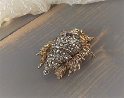 Shell Dress Brooch